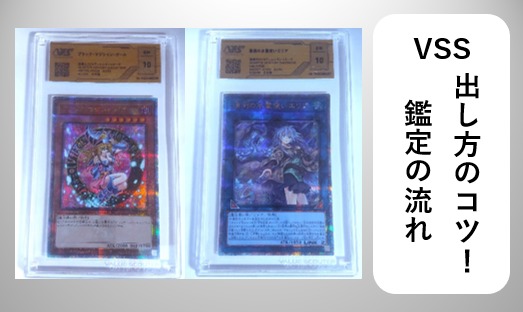 VSS鑑定の出し方について